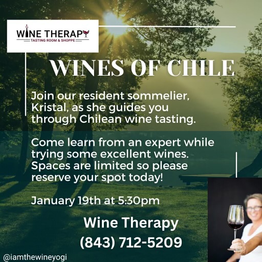 Wine Therapy Tasting Chilean Wines